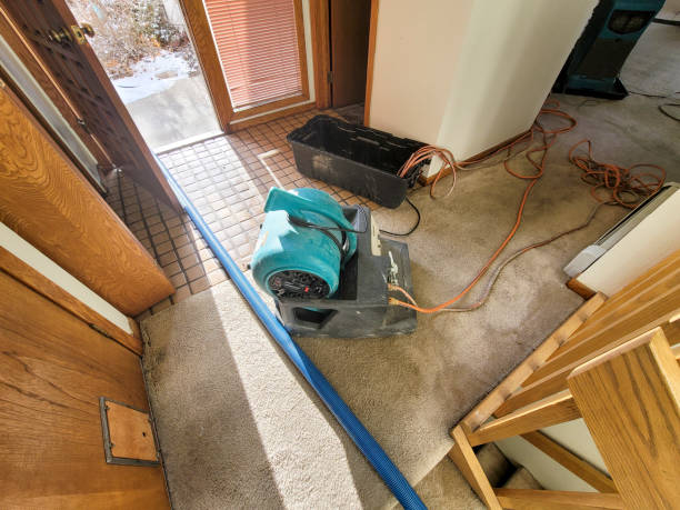 Best Water damage contractors near me  in Saugatuck, CT