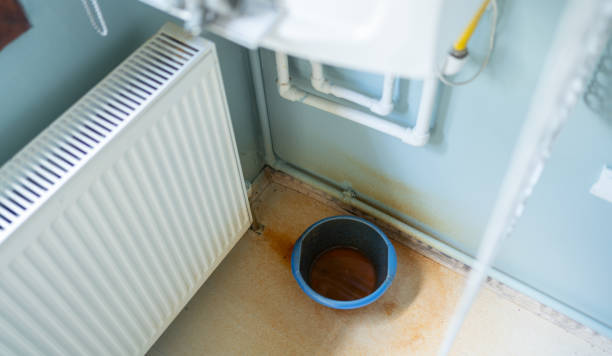 Best Carpet water damage restoration  in Saugatuck, CT