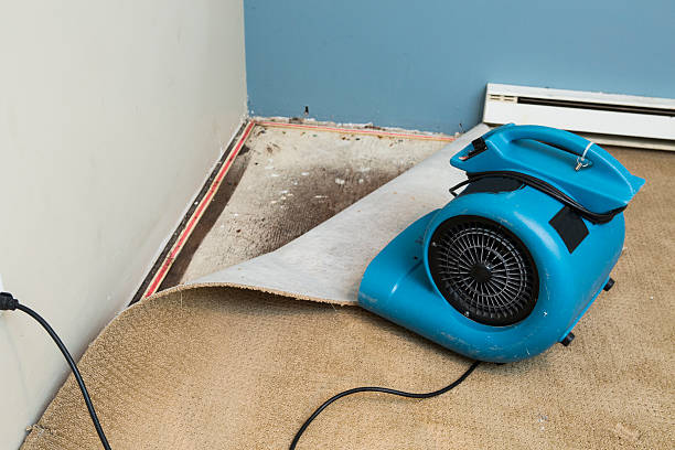 Best Water damage restoration cost  in Saugatuck, CT